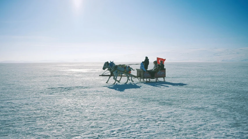 a group of people riding on top of a horse drawn carriage, inspired by Scarlett Hooft Graafland, pexels contest winner, hurufiyya, ice seracs, rectangle, lightweight, graphic print