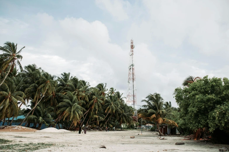 a beach with palm trees and a radio tower in the background, unsplash, visual art, in the middle of a small colony, background image, maldives in background, tall thin build