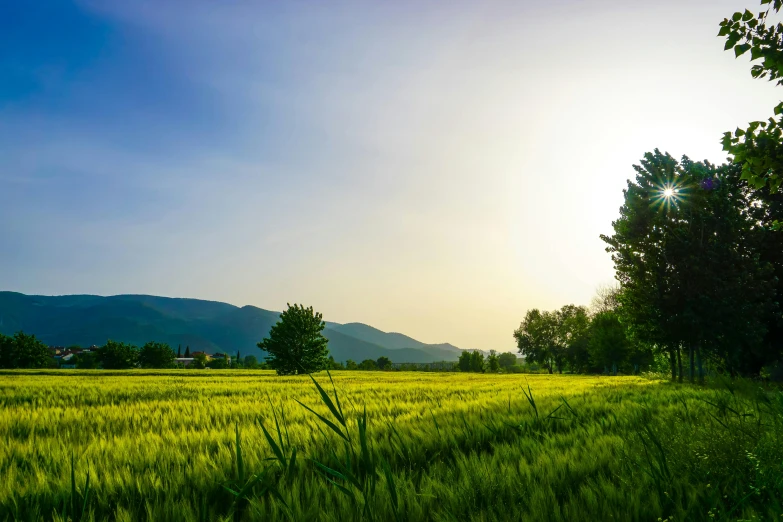 a field of green grass with mountains in the background, pexels contest winner, evening lighting, high grain, instagram post, green and yellow