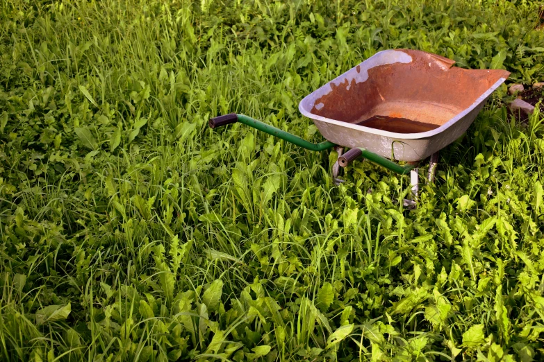 a wheelbarrow in a field of green grass, by Julia Pishtar, clean image, basil gogos, rusty, tool