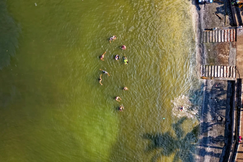 a group of people swimming in a body of water, by Jan Tengnagel, pexels contest winner, green slime, warm weather, air shot, listing image