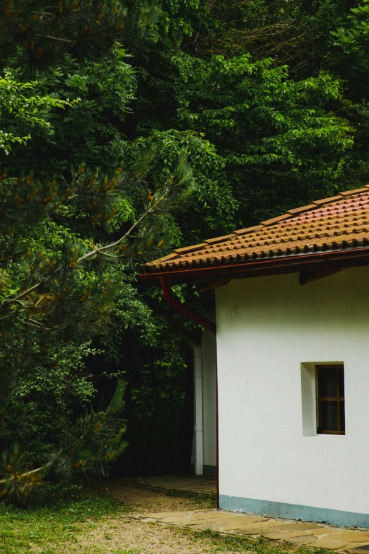 a small white building sitting in the middle of a forest, inspired by Edo Murtić, renaissance, shot from roofline, brown, terracotta, suburban home