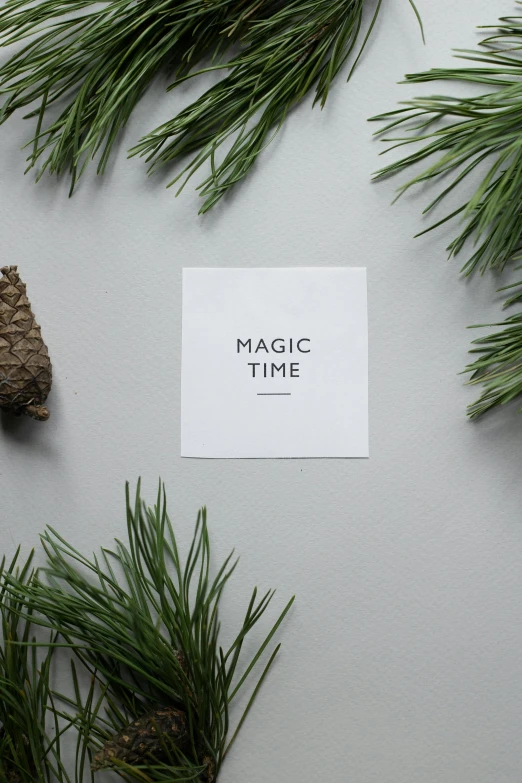 a card that says magic time surrounded by pine branches, by Matija Jama, product label, on grey background, back towards camera, day time