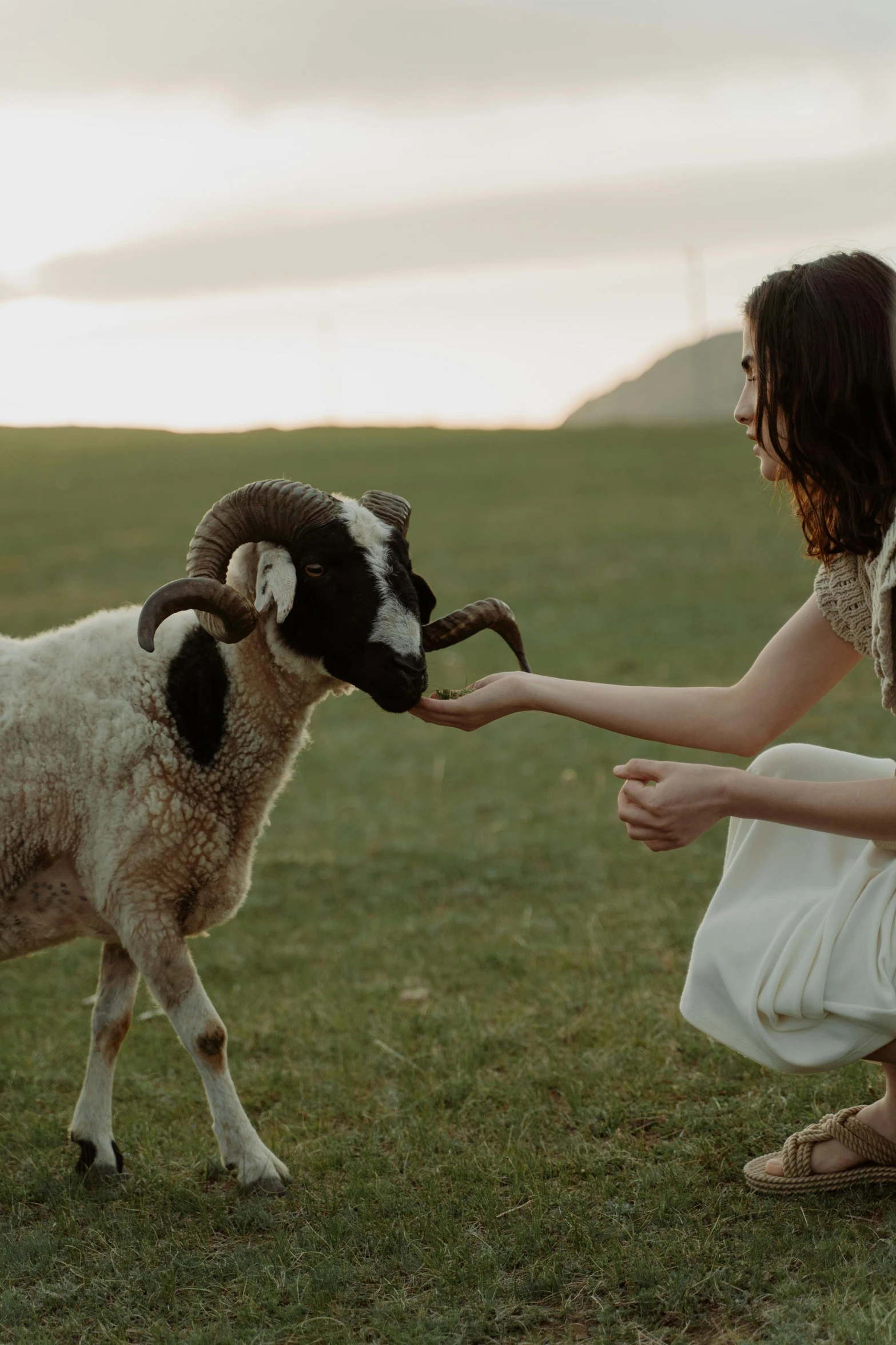 a woman petting a sheep in a field, inspired by Elsa Bleda, goat horns, **cinematic, faroe, natalia dyer