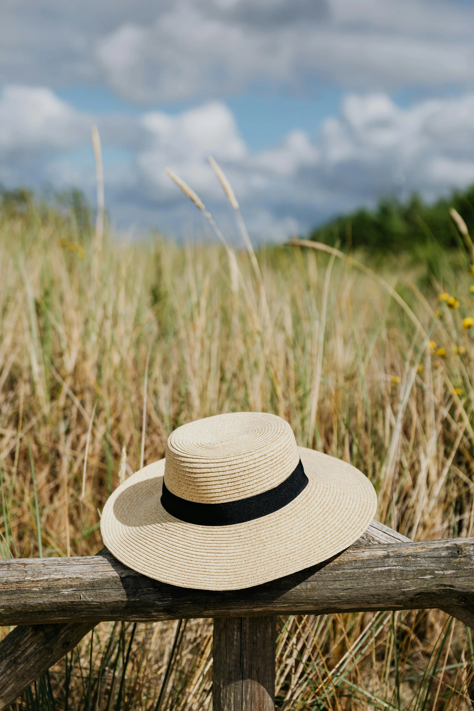 a hat sitting on top of a wooden bench, standing in tall grass, vanilla, full product shot, shoreline