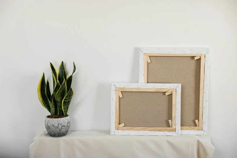 a picture frame sitting on top of a table next to a potted plant, visual art, white canvas background, various sizes, pictured from the shoulders up, professional product shot