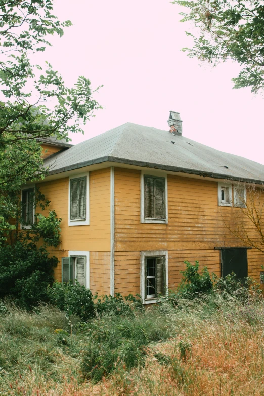 a yellow house surrounded by tall grass and trees, an album cover, unsplash, modernism, old abandoned house, seattle, color image