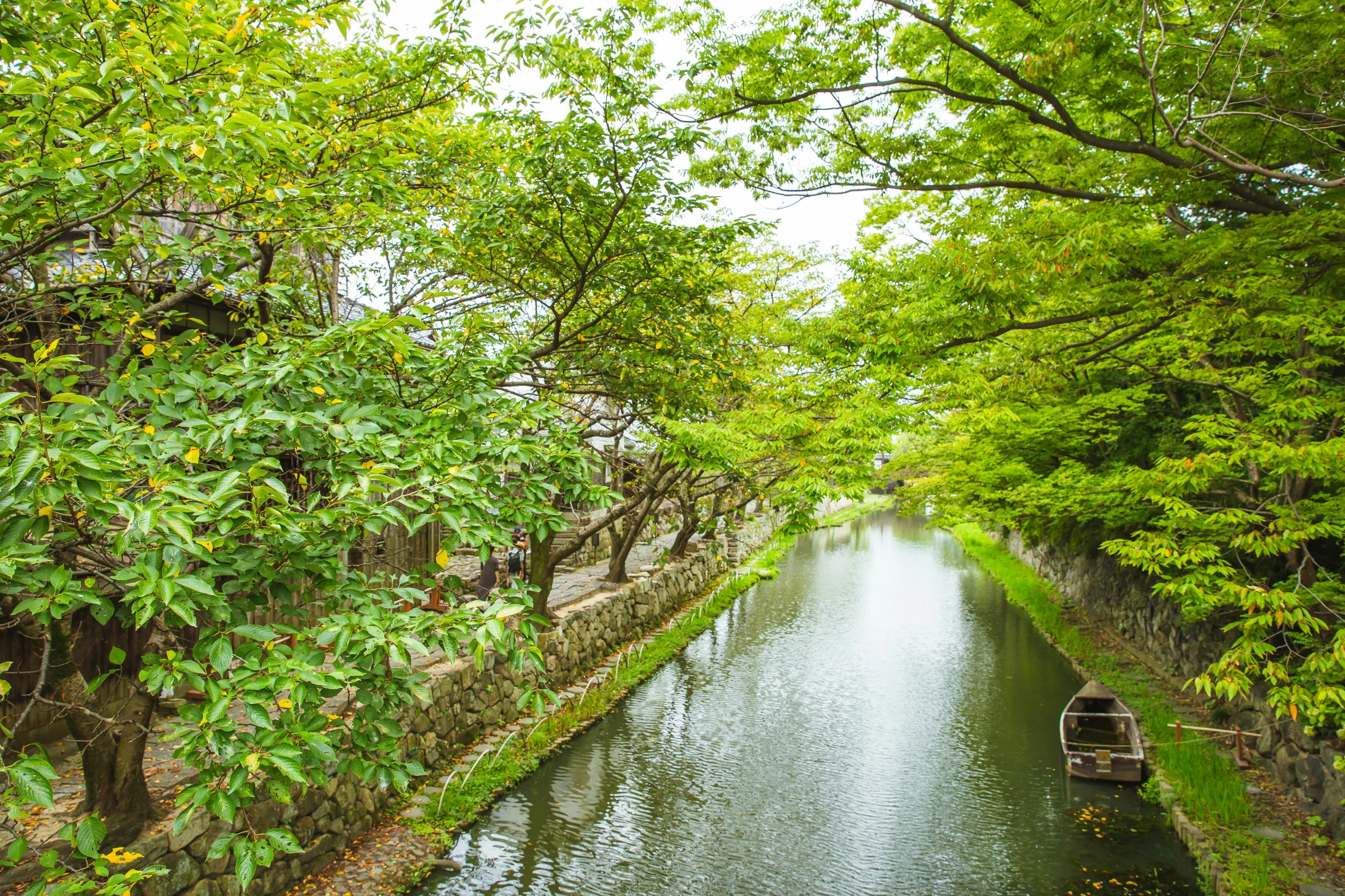 a river running through a lush green forest, inspired by Yanagawa Nobusada, pexels contest winner, sōsaku hanga, in a city with a rich history, 🚿🗝📝