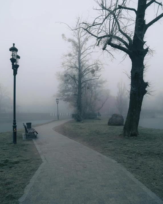 a park bench sitting next to a tree on a foggy day, empty streetscapes, in the evening, snapchat photo, ilustration