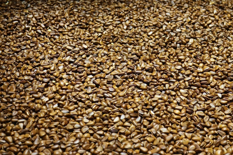 a pile of coffee beans sitting on top of a table, by Carey Morris, process art, flax, as far as the eye can see, shiny golden, wisconsin