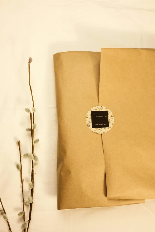 a brown paper bag sitting on top of a table, beautiful labels, thumbnail, iwakura, studio product shot