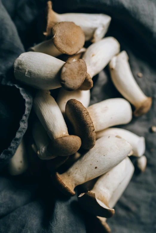 a pile of mushrooms sitting on top of a black cloth, unsplash, white bangs, beans, crisp photo, - 9