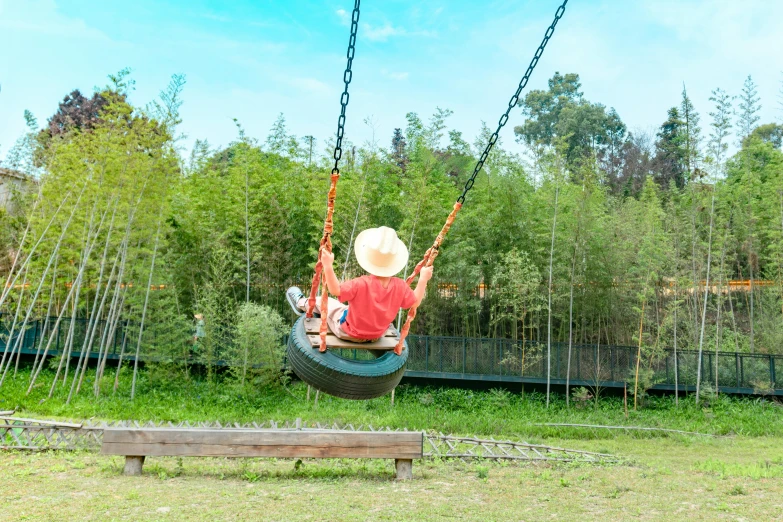 a little boy that is sitting on a swing, by Julia Pishtar, pexels contest winner, panorama, jin shan, lush surroundings, activity play centre