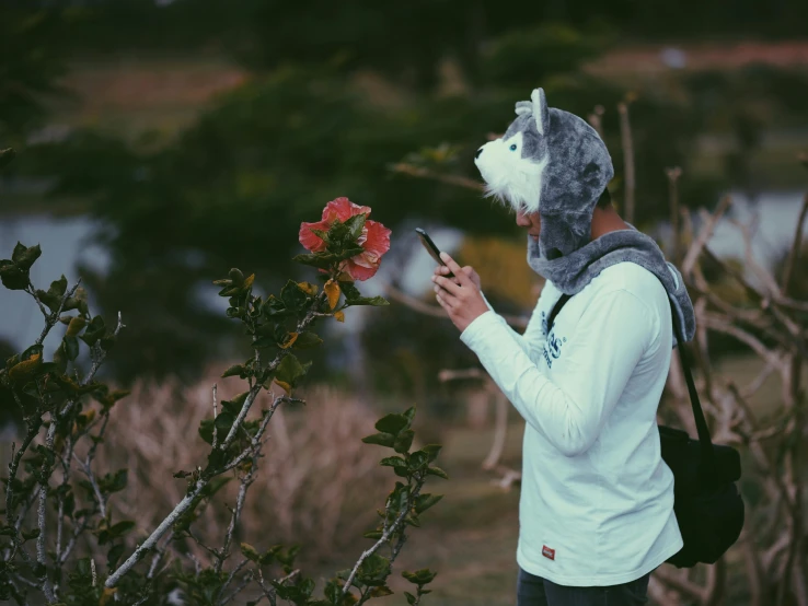 a woman taking a picture of a flower with her cell phone, by Niko Henrichon, pexels contest winner, aestheticism, sad man puts on a bear mask, white fox ears, male ulzzang, anthropomorphic wolf