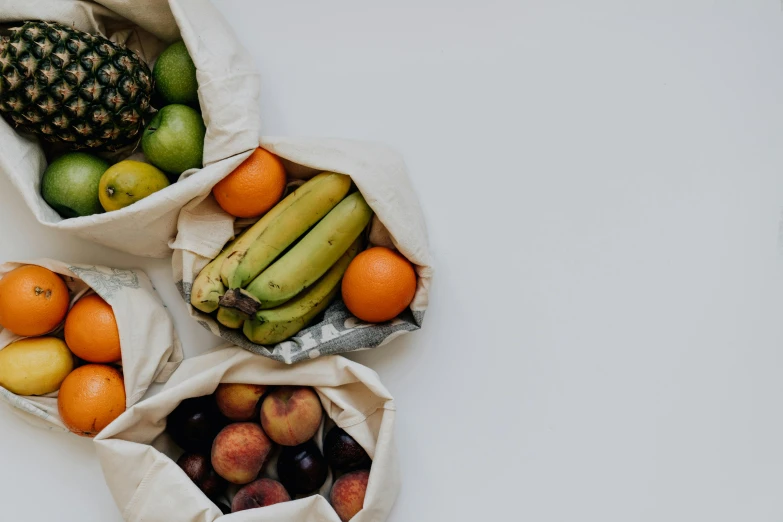 a couple of bags filled with fruit sitting on top of a table, pexels, plain background, organic detail, on a canva, full faced