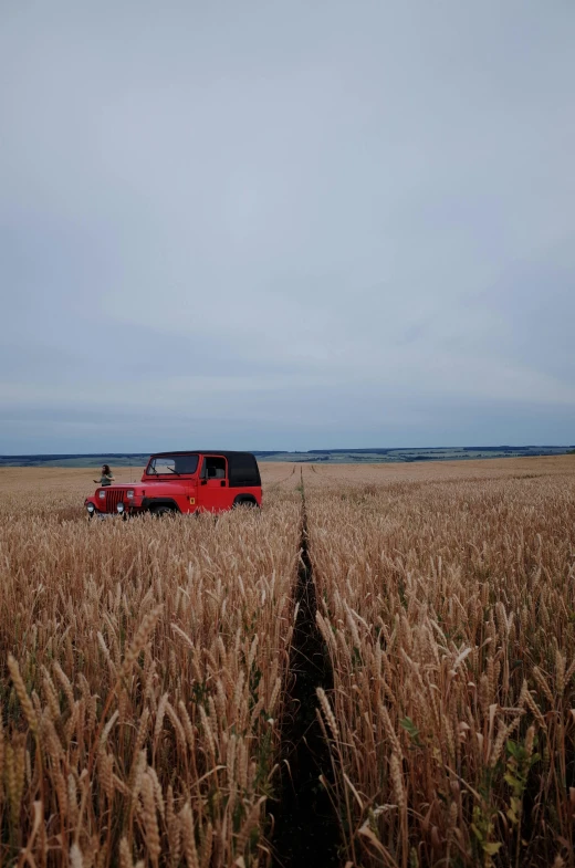 a red jeep driving through a wheat field, seaview, lonely scenery yet peaceful!!, slight overcast, photos