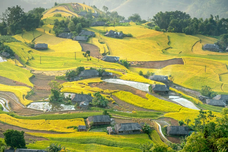 a group of houses sitting on top of a lush green hillside, rice paddies, patches of yellow sky, lpoty, on a sunny day