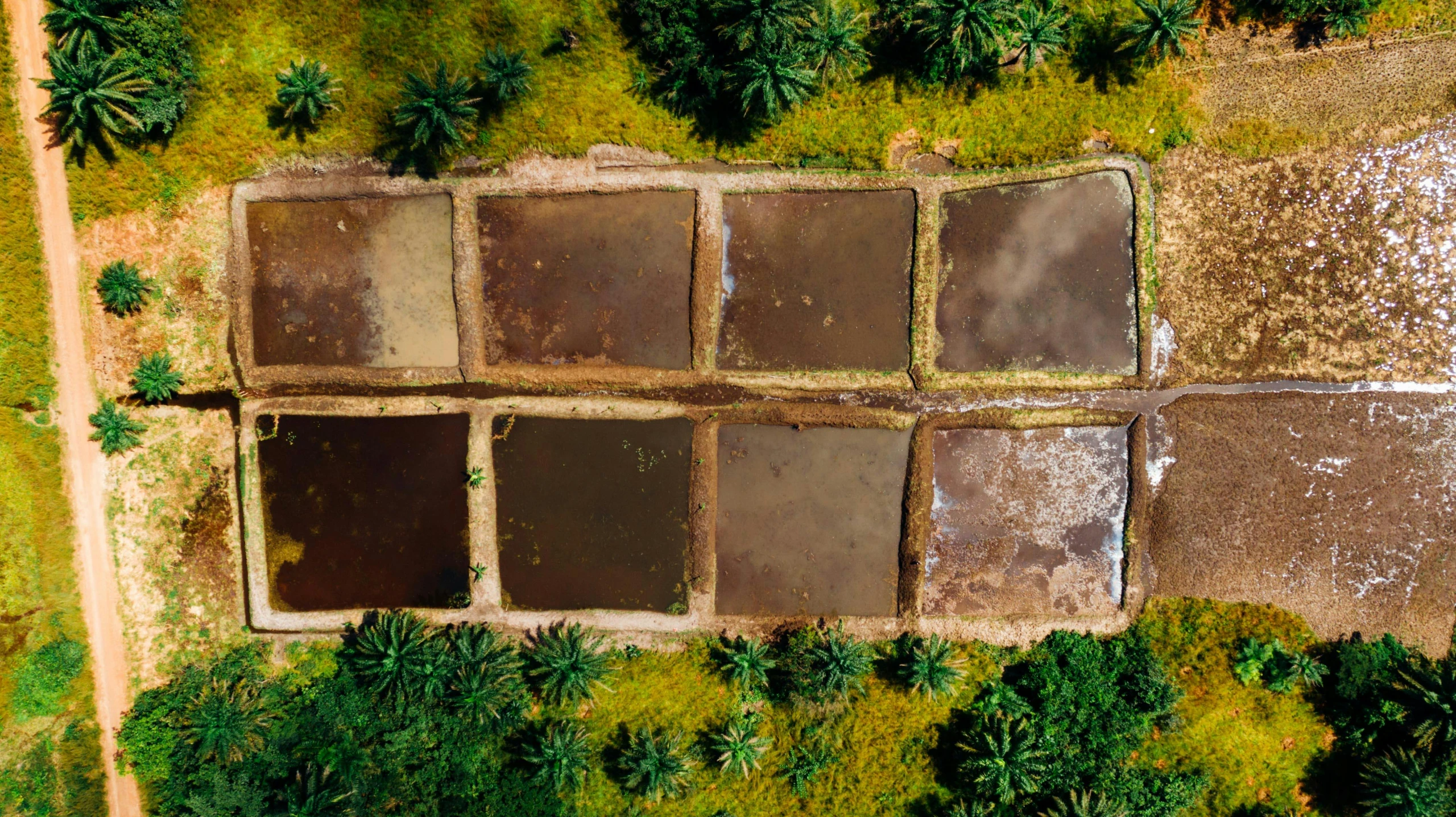 an aerial view of a field of palm trees, an album cover, by Daniel Lieske, land art, wet clay, tiles, thumbnail, 8 k hi - res