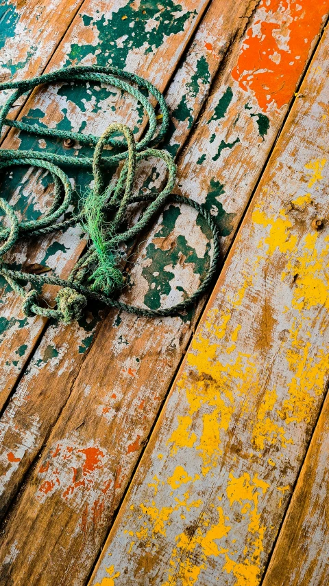 a green rope sitting on top of a wooden floor, an album cover, inspired by Elsa Bleda, trending on pexels, graffiti, old wooden ship, yellow seaweed, worn paint, multi - coloured