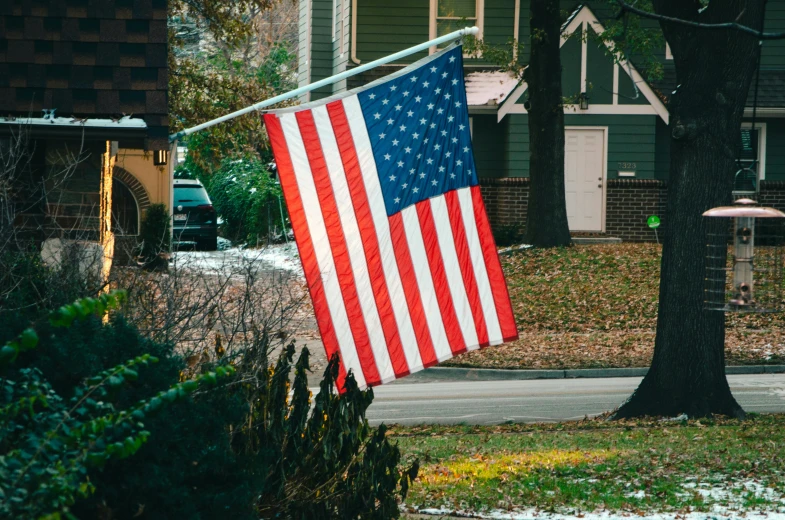 an american flag hanging from a tree in front of a house, a picture, unsplash, upset, covered, 🚿🗝📝