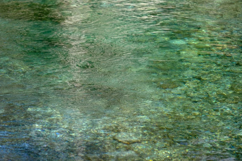 there is a bird that is standing in the water, a photorealistic painting, inspired by Monet, unsplash, impressionism, greek pool, glistening seafoam, real-life brook, multicoloured