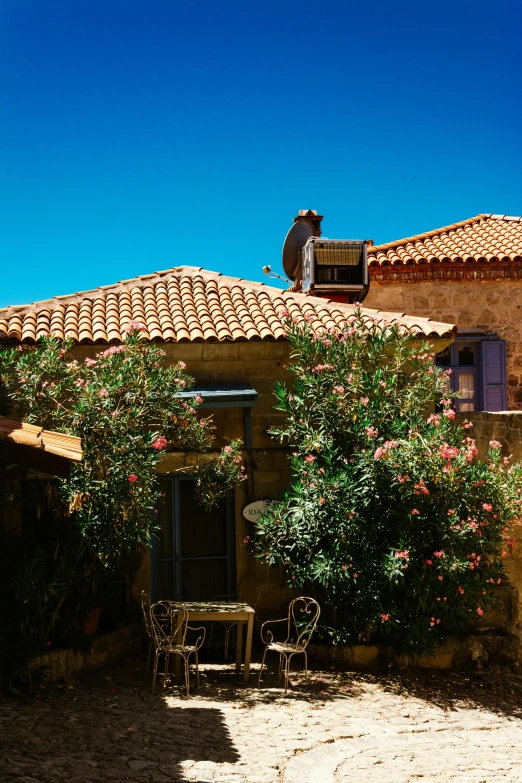 a cat sitting on the roof of a house, by Riad Beyrouti, unsplash, renaissance, traditional corsican, with fruit trees, panorama shot, square