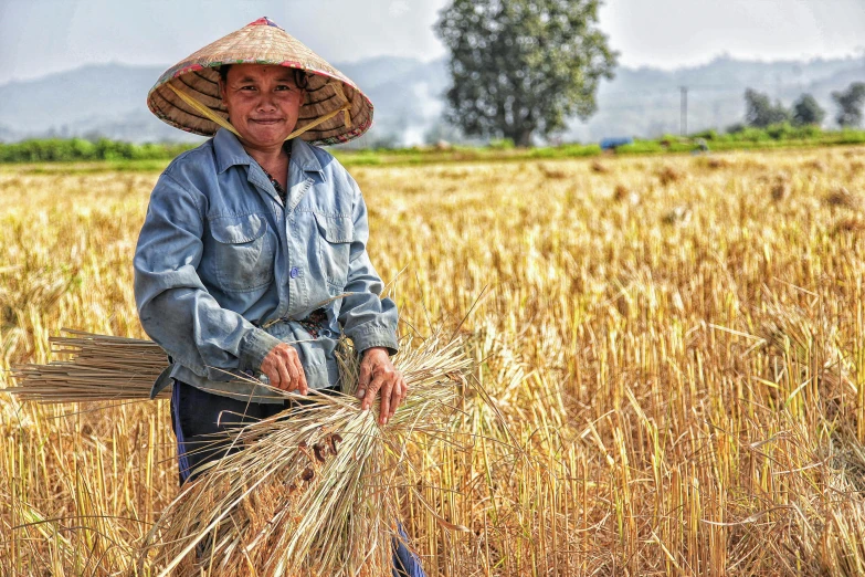 a woman in a straw hat standing in a field, by Tom Wänerstrand, pexels contest winner, sumatraism, powerful male scarecrow, rice, istockphoto, carrying a tray