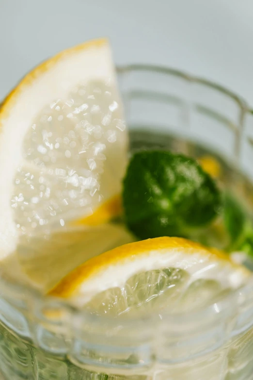 a close up of a glass of water with lemons and broccoli, by Jan Tengnagel, pexels, renaissance, half moon, mint, aspic, made of drink