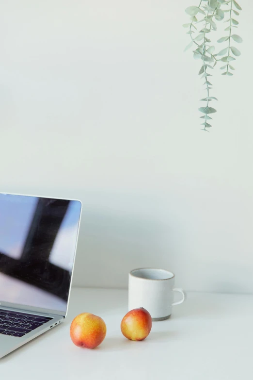 a laptop computer sitting on top of a white desk, by Miyamoto, trending on pexels, with fruit trees, muted color. minimalist, portrait of morning coffee, oyama kojima