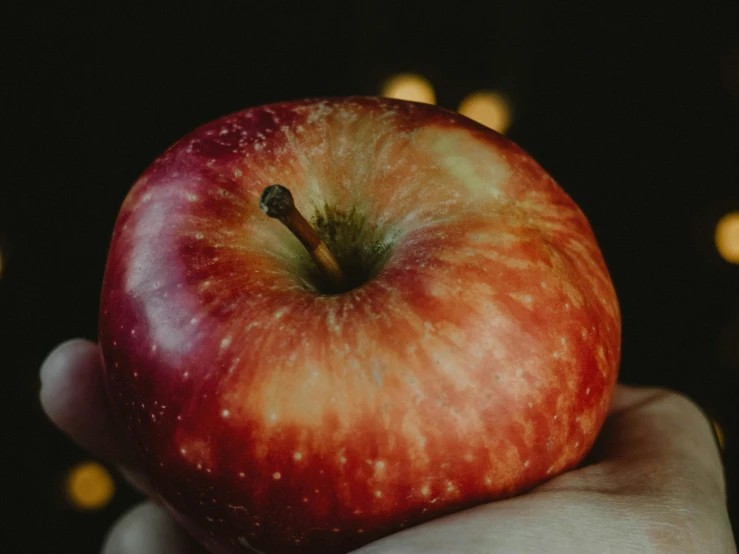 a person holding an apple in their hand, by Emma Andijewska, pexels contest winner, renaissance, holding an epée, promo image, large cornicione, taken in the night