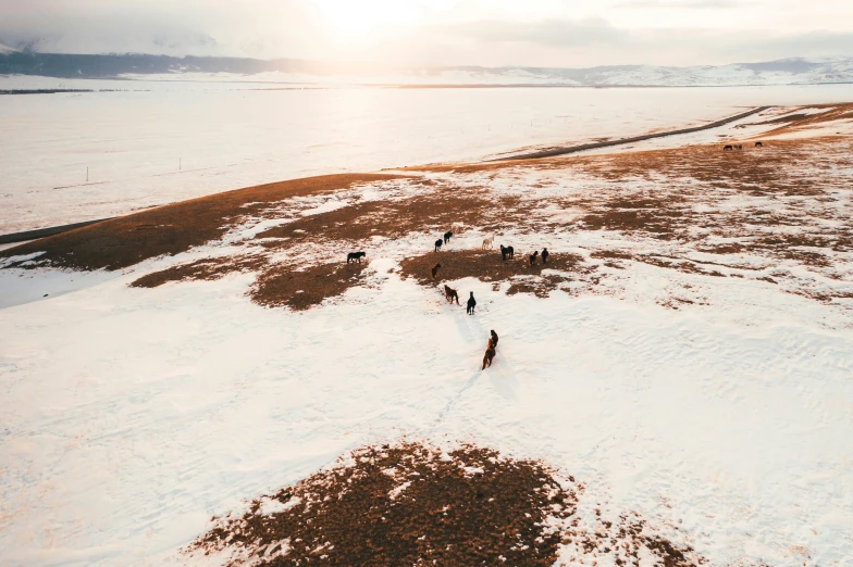 a group of people walking across a snow covered field, by Emma Andijewska, unsplash contest winner, land art, mongol, background image, high angle shot, the see horse valley