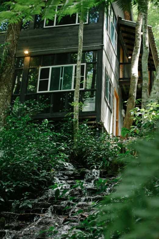 a house in the woods surrounded by trees, cascading waterfalls, rainforest, view from ground level, studio