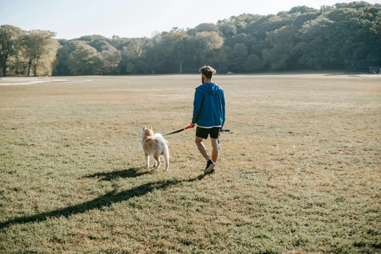 a man walking a dog on a leash in a field, by Julia Pishtar, sydney park, 5k, thumbnail, mr beast