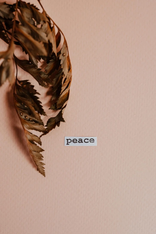 a piece of paper with the word peace written on it, an album cover, by Grace Polit, trending on pexels, minimalist sticker, feather, peach, holiday