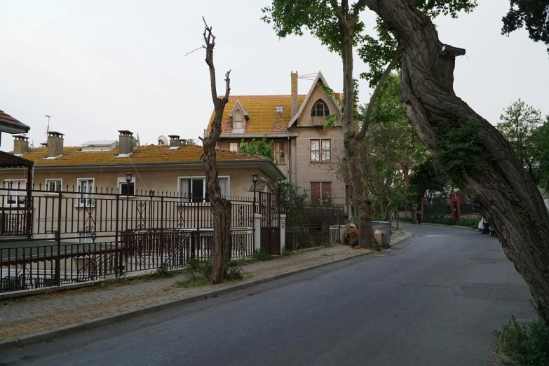 a tree on the side of a road next to a fence, art nouveau, istanbul, peaceful wooden mansion, ignant, photo 8 k