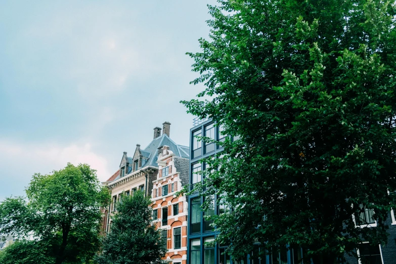 a red fire hydrant sitting on the side of a road, by Jacob Toorenvliet, neoclassicism, view of houses in amsterdam, big green trees, full of glass facades, abcdefghijklmnopqrstuvwxyz