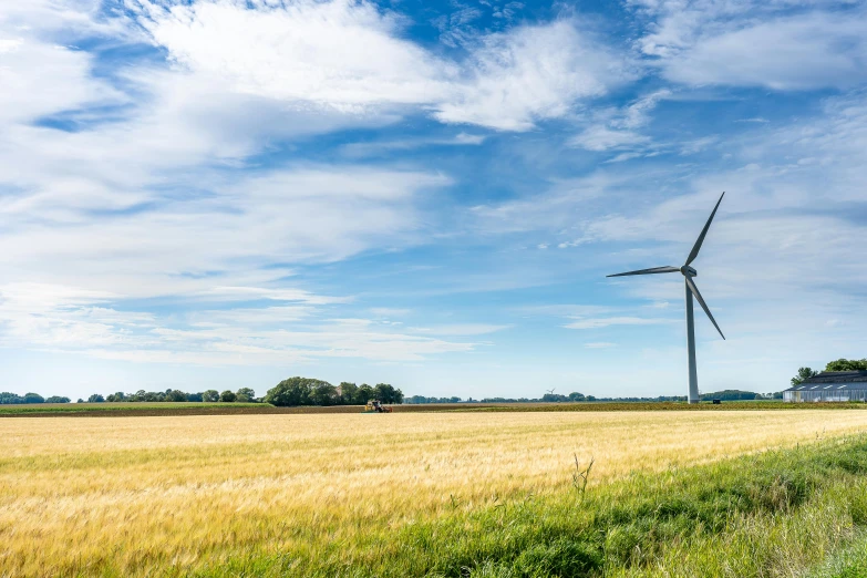 a wind turbine in the middle of a wheat field, by Andries Stock, profile picture 1024px, ultrawide landscape, family friendly, maintenance photo