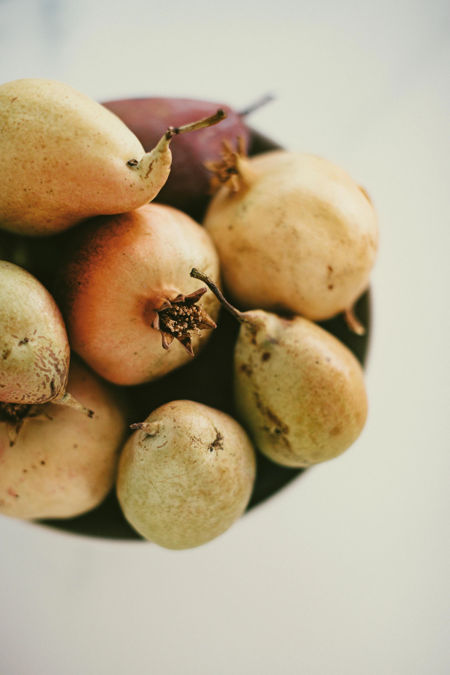 a bowl of fruit sitting on top of a table, by Paul Davis, unsplash, renaissance, pears, north island brown kiwi, various sizes, closeup headshot