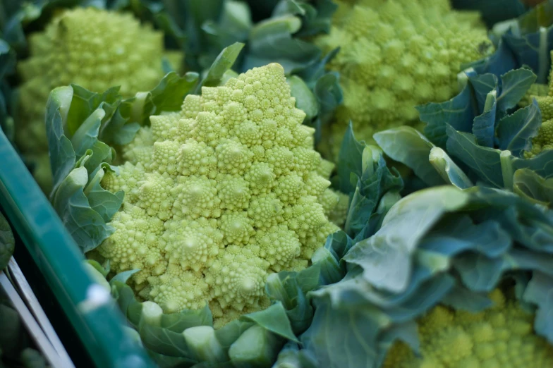 a close up of a bunch of broccoli, by Yasushi Sugiyama, unsplash, renaissance, mandelbulb flowers and trees, market, albino dwarf, coxcomb