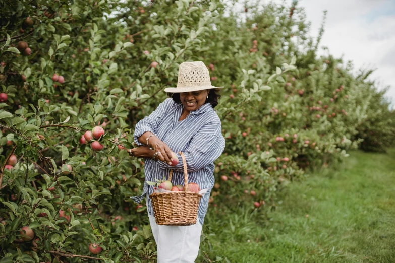 a woman holding a basket of apples in an apple orchard, pexels contest winner, wearing a straw hat and overalls, pink, photo shot my martha cooper, essence