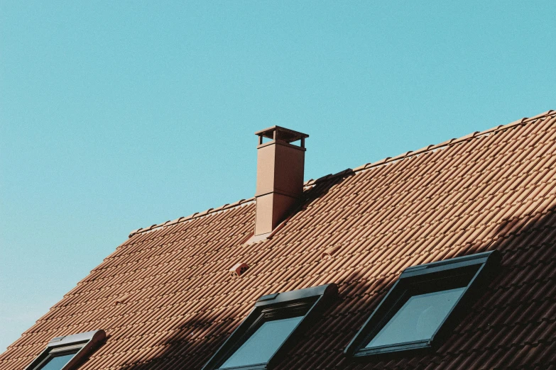 a bird is perched on the roof of a house, by Carey Morris, pexels, postminimalism, chimney, flat colour, terracotta, looking from side