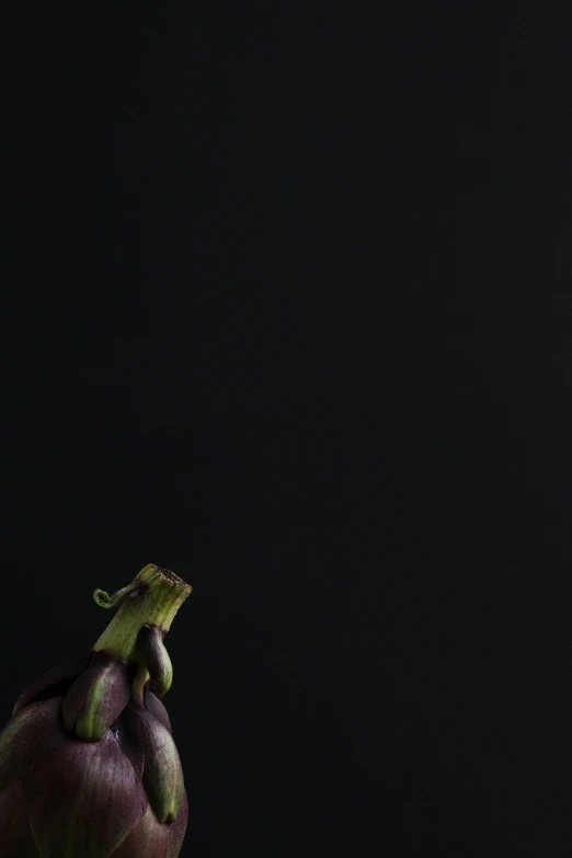 a close up of an eggplant on a table, inspired by Robert Mapplethorpe, cinestill hasselblad 2 0 0 mm, sprouting, reza afshar, stop motion