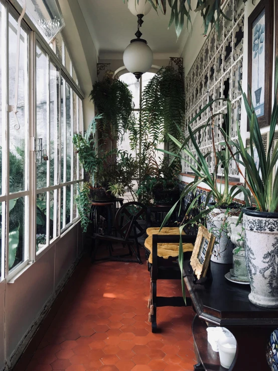 a room filled with lots of potted plants, inspired by Luis Paret y Alcazar, art nouveau, 2019 trending photo, outside view, preserved historical, trending on vsco