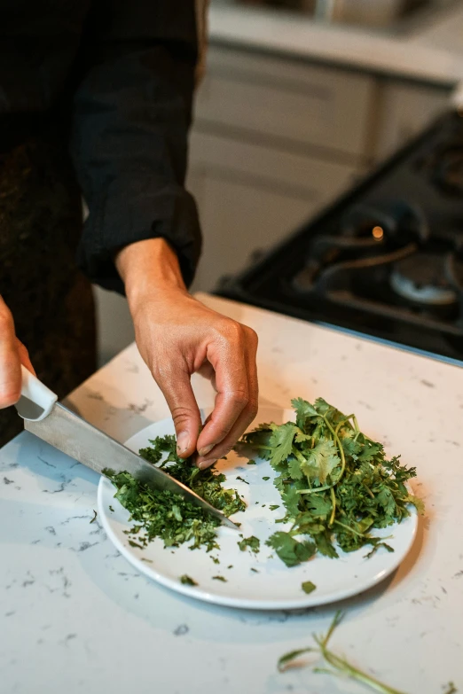 a person cutting herbs on a plate on a counter, by Carey Morris, multiple stories, very crispy, salad, special