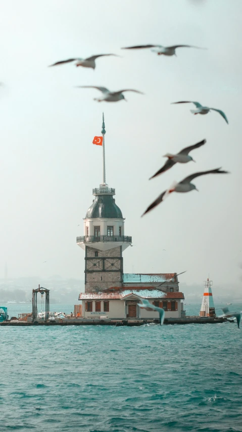 a group of birds flying over a body of water, a colorized photo, by Niyazi Selimoglu, pexels contest winner, neoclassical tower with dome, 🤠 using a 🖥, turkey, lighthouse