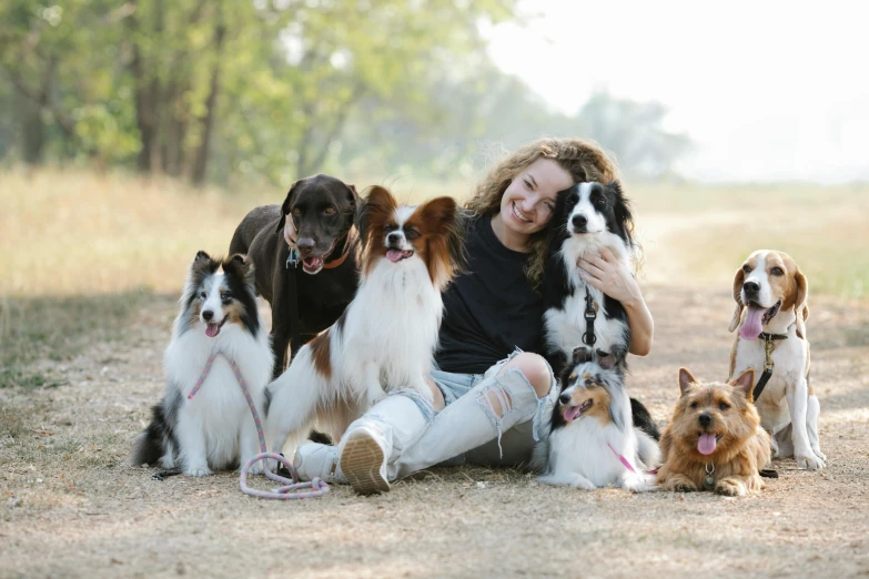 a woman sitting on the ground with a bunch of dogs, pexels contest winner, avatar image, aussie, mixed animal, no cropping