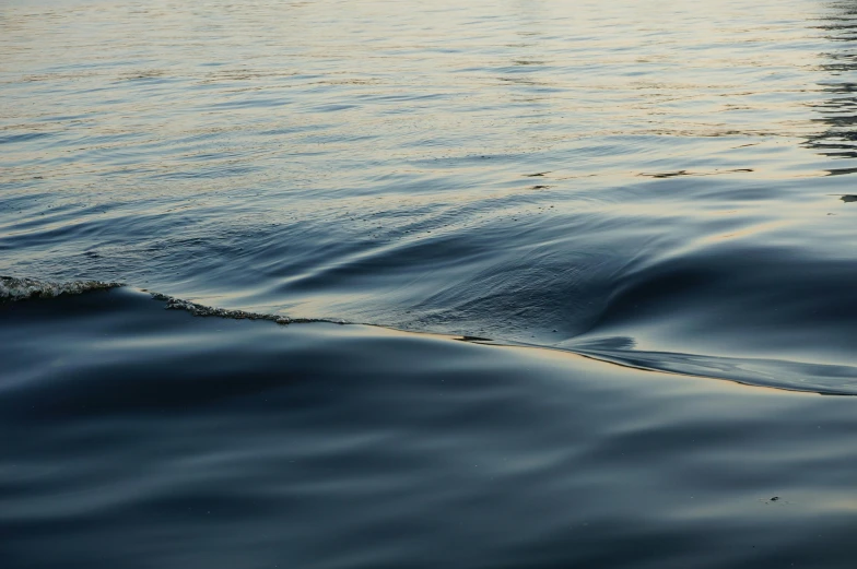 a body of water with a boat in the distance, unsplash, hurufiyya, rippling liquid, close - up photograph, early evening, ignant