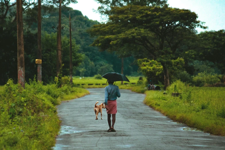 a person walking a dog with an umbrella, by Max Dauthendey, pexels contest winner, realism, kerala village, background image, road trip, thumbnail