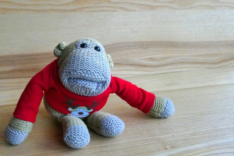 a close up of a stuffed animal on a table, inspired by Károly Brocky, pixabay contest winner, light stubble with red shirt, monkey, sweater, programming