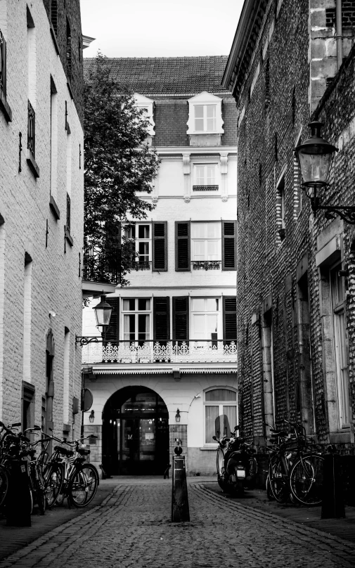 a black and white photo of a cobblestone street, by Daniel Seghers, renaissance, private academy entrance, complex buildings, profile image, white houses